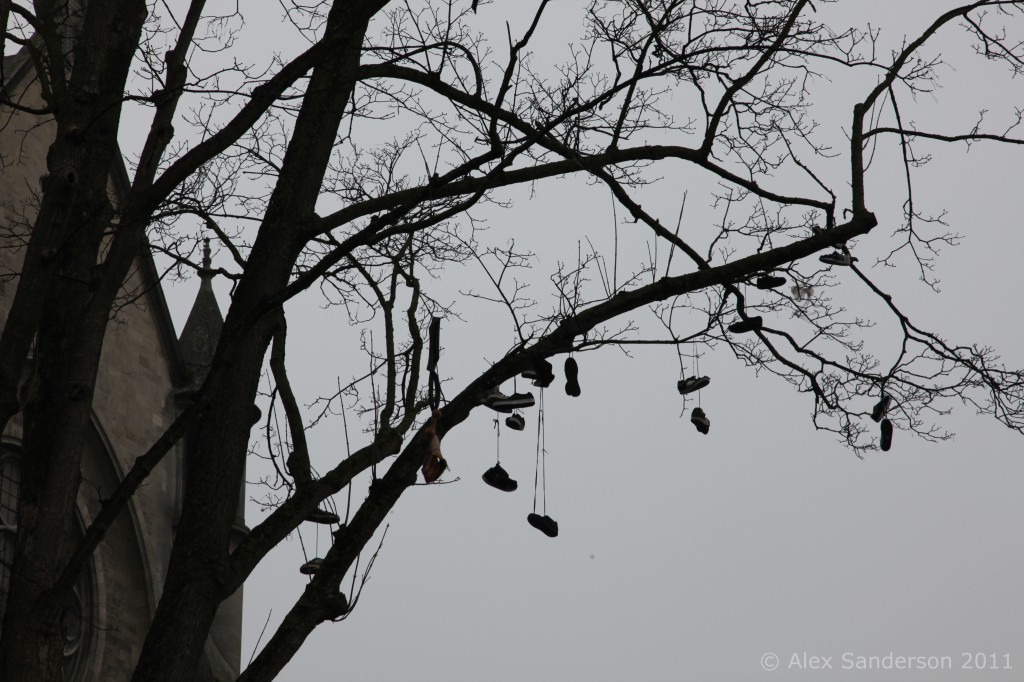 Shoes tied by the laces hanging on a tree over a skate park in Epernay