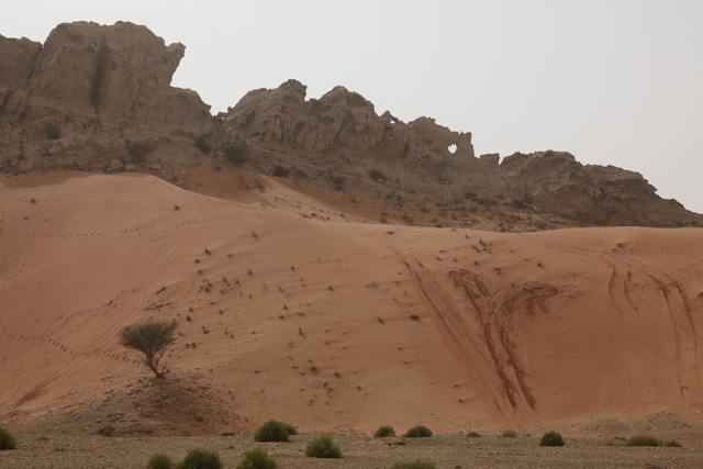 Dune Bashing Tracks