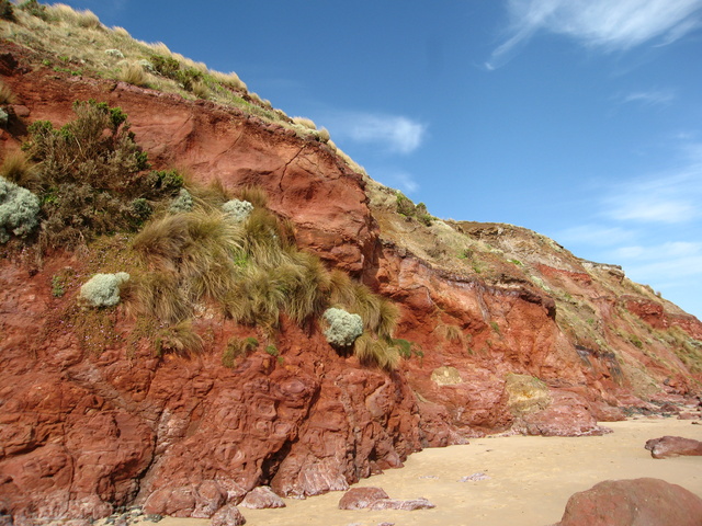 Red Cliffs at Phillip Island - Ventnor Beach