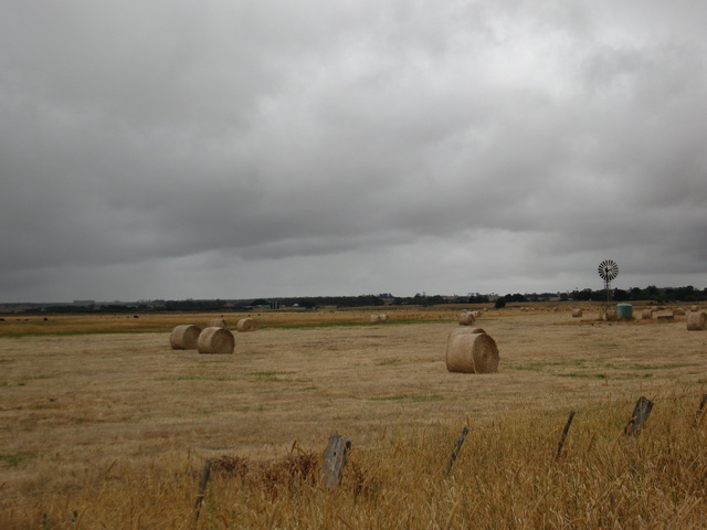 Hay Bales near Hamilton